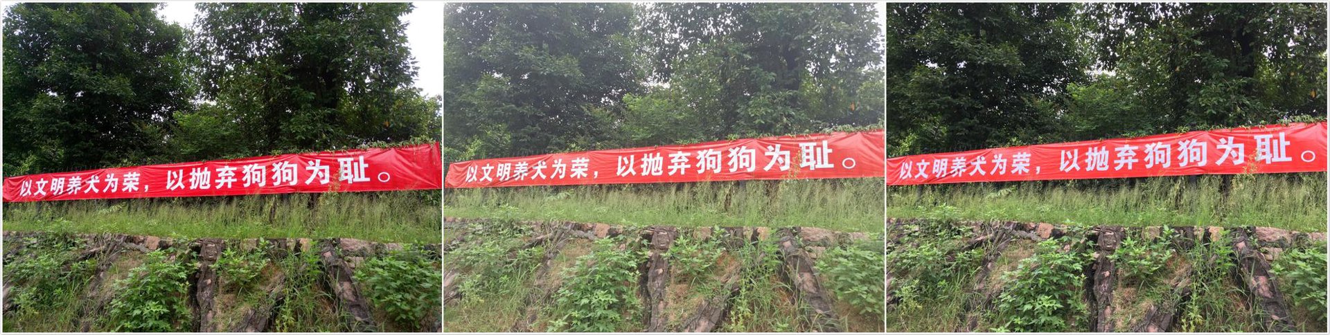 站群程序如何在电商市场中大放异彩
